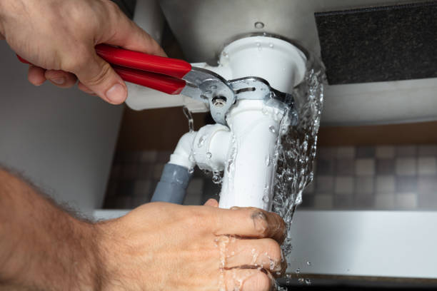 Best Water damage cleanup near me  in Shannon, GA