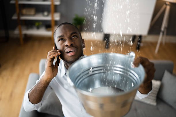 Best Commercial water damage restoration  in Shannon, GA