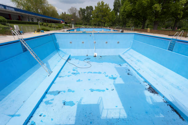 Best Professional water damage repair  in Shannon, GA