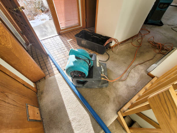 Best 24/7 water damage repair  in Shannon, GA
