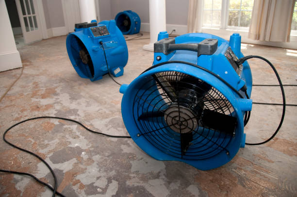 Best Water damage restoration near me  in Shannon, GA
