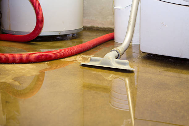 Best Flood restoration services  in Shannon, GA