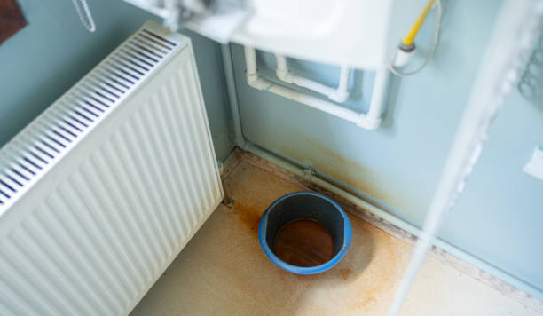 Best Basement water damage restoration  in Shannon, GA