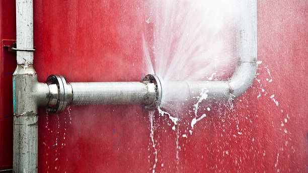 Best Water damage restoration near me  in Shannon, GA